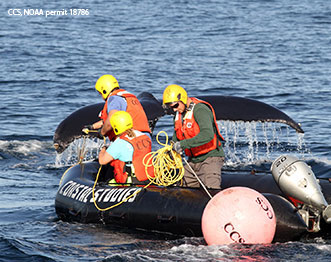 Workers on a boat lsgp_60-70.jpg