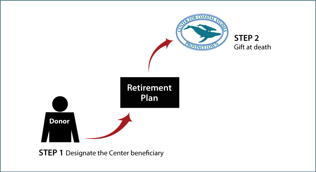 Gifts from Retirement Plans at Death Thumbnail